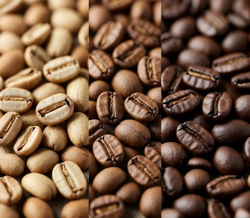 Light Roast vs Medium Roast vs Dark Roast Coffee