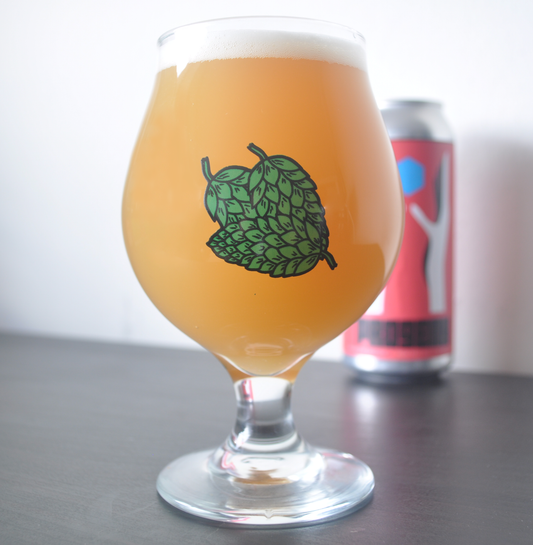 Pint Glass, IPA Glass, Glass For IPA, Gose Glass, Pale Ale Glass, Sour Beer Glass, Craft Beer Glasses, Best Pint Glasses, Hops Beer Glass, Footed Beer Glass