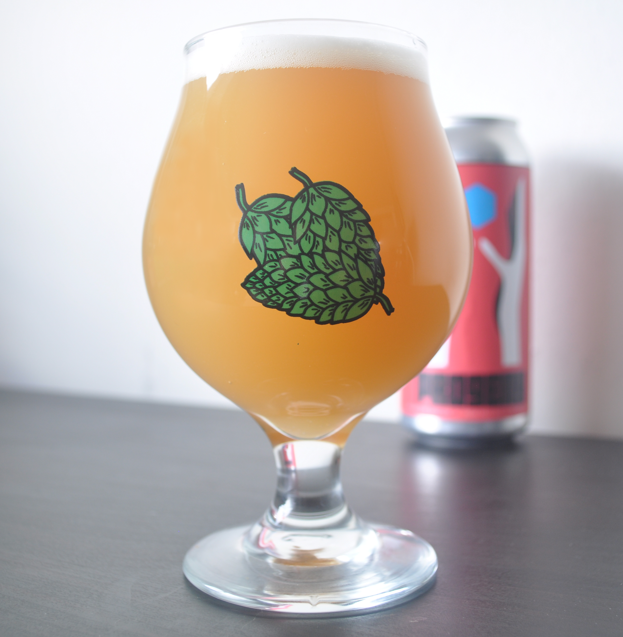 Pint Glass, IPA Glass, Glass For IPA, Gose Glass, Pale Ale Glass, Sour Beer Glass, Craft Beer Glasses, Best Pint Glasses, Hops Beer Glass, Footed Beer Glass