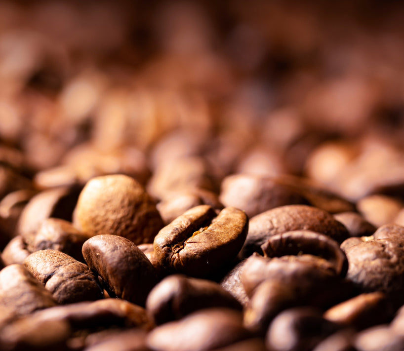 best top coffee delivered and best coffee bean delivery