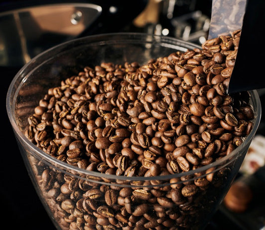 best coffee beans to buy online