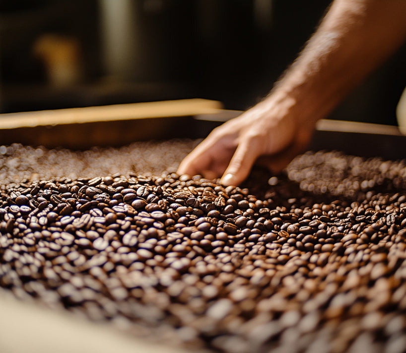 best craft coffee at home specialty coffee
