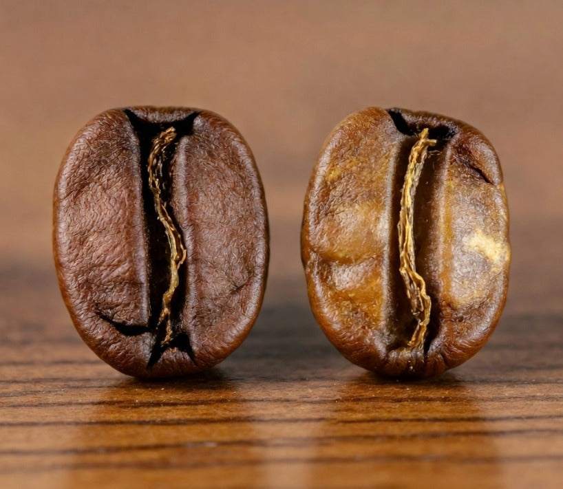 best craft coffee online