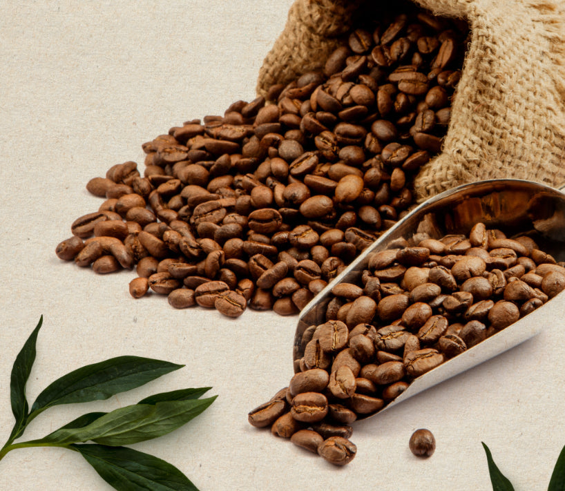 best top specialty coffee online