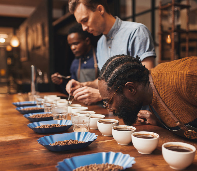How Does Cupping Help in Evaluating Top Coffee Quality?