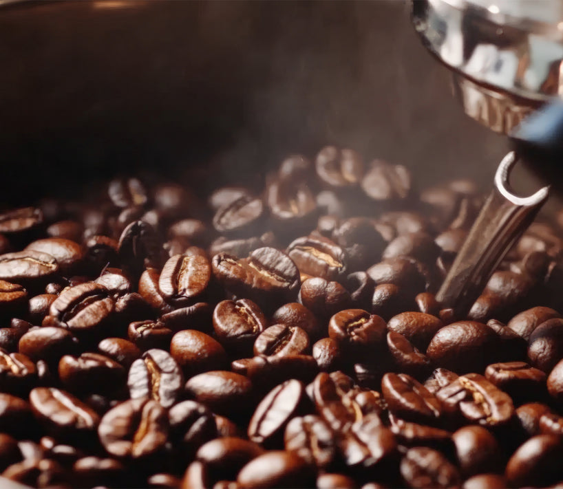 freshest coffee to buy online community 