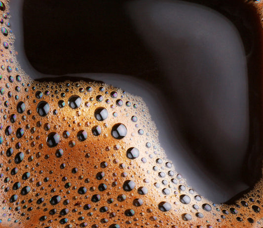 freshest craft coffee online