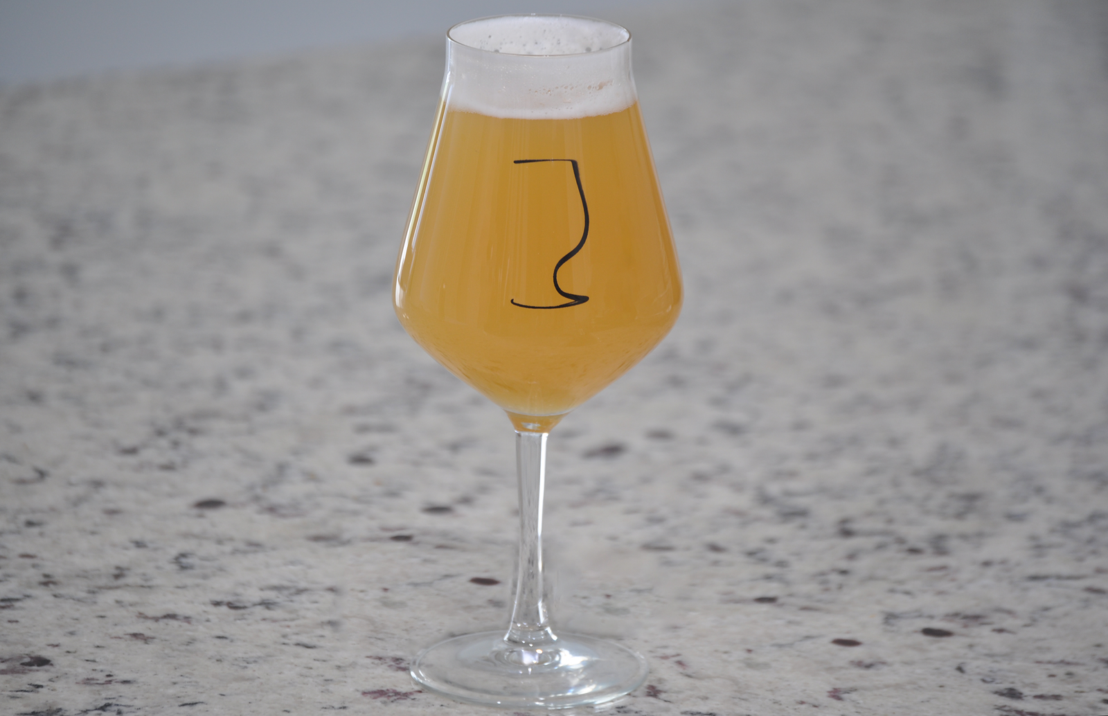 Best Hazy IPA Glass, Best IPA Beer Glassware, and Best Glass For IPA beer