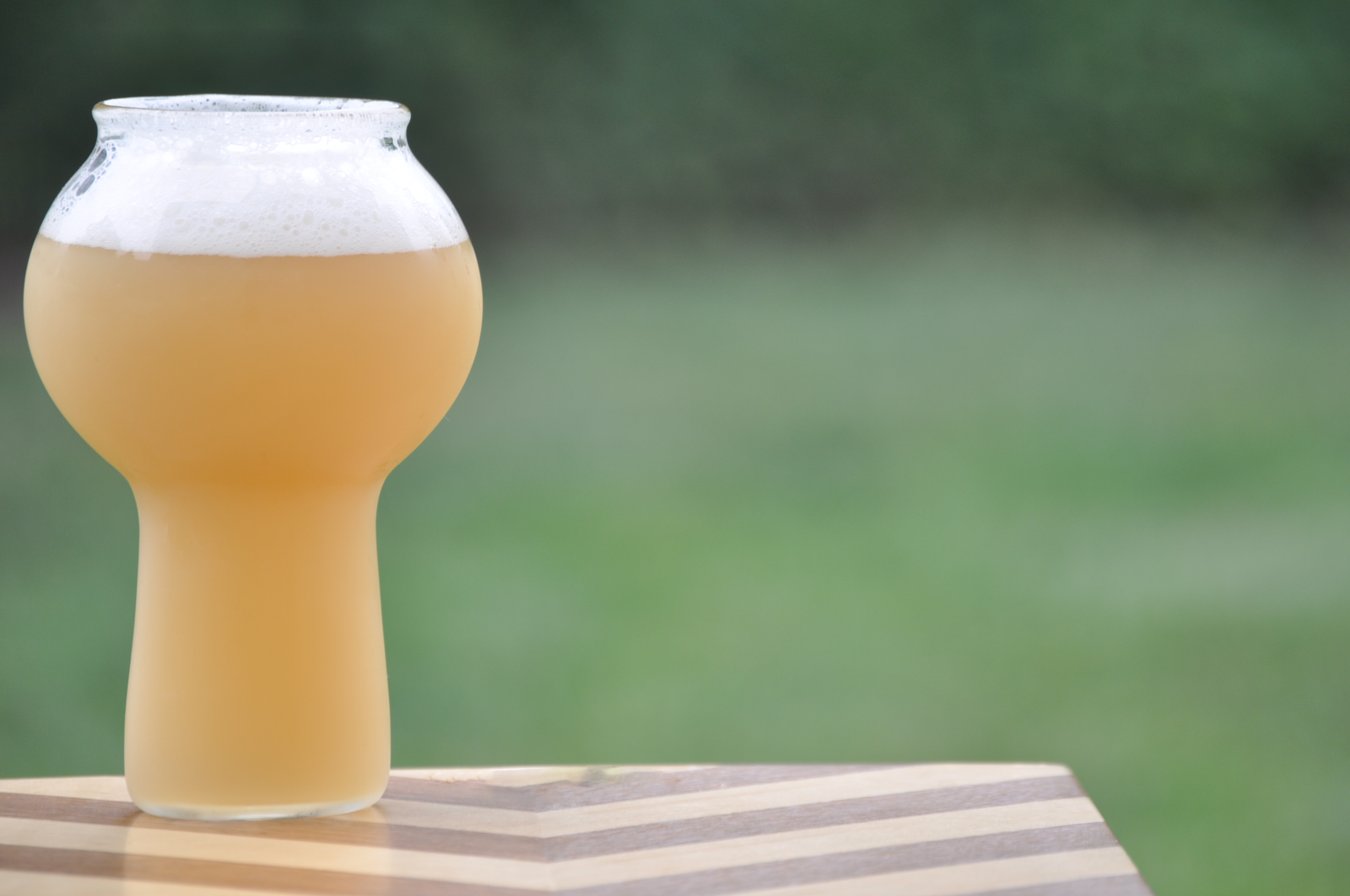 Hand Blown Craft Beer Glasses