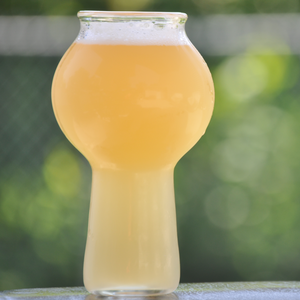 Best Craft Beer Glassware Online, Best Glassware For Craft Beer