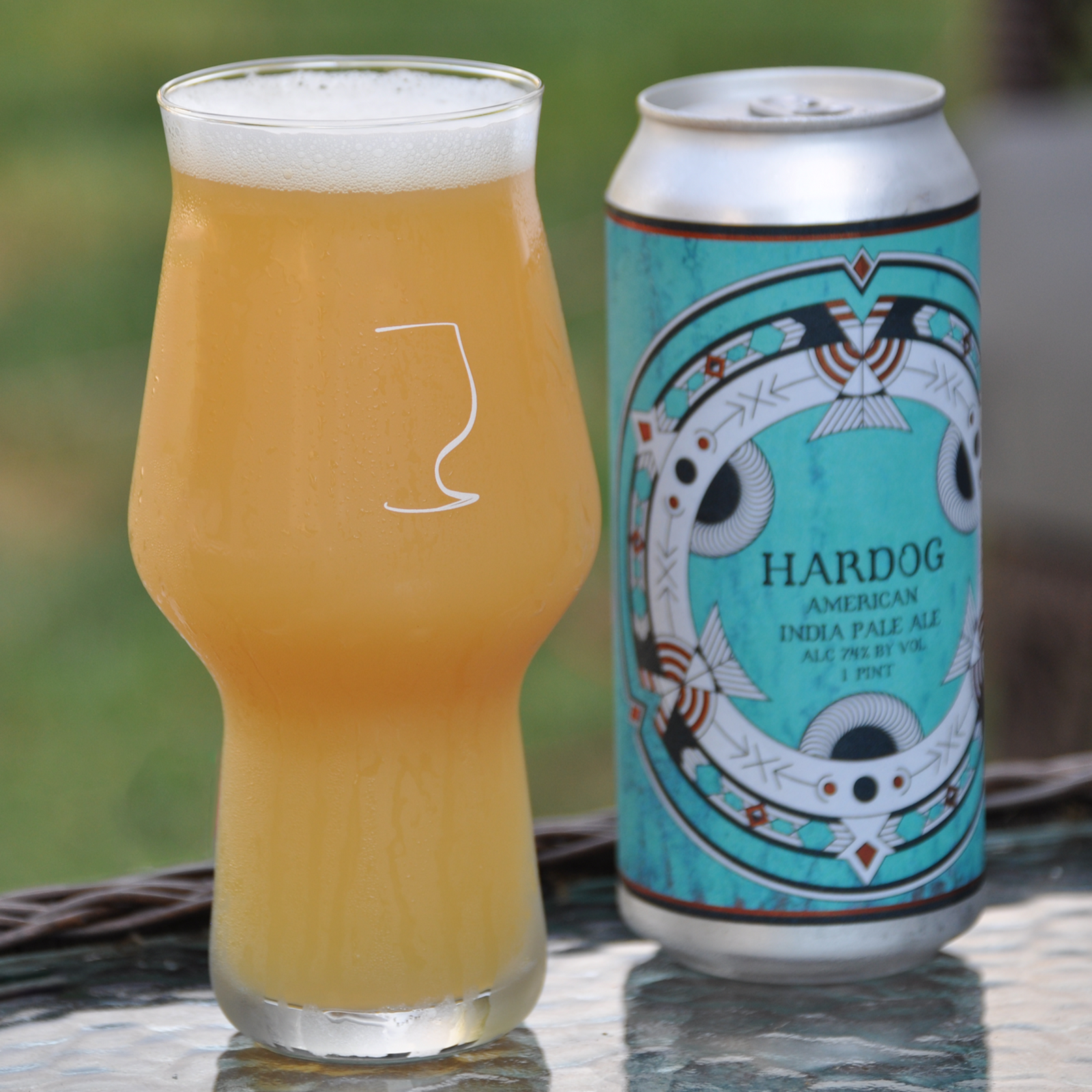 Best Glass For IPA Beer and Best Glassware For Craft Beer