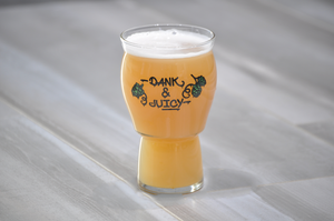 Best Dank and Juicy IPA Glass and Best Glass For IPA Beer